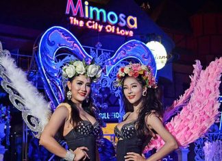 Mimosa Cabaret Show
