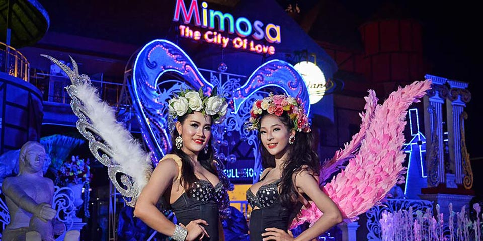 mimosa-cabaret-show